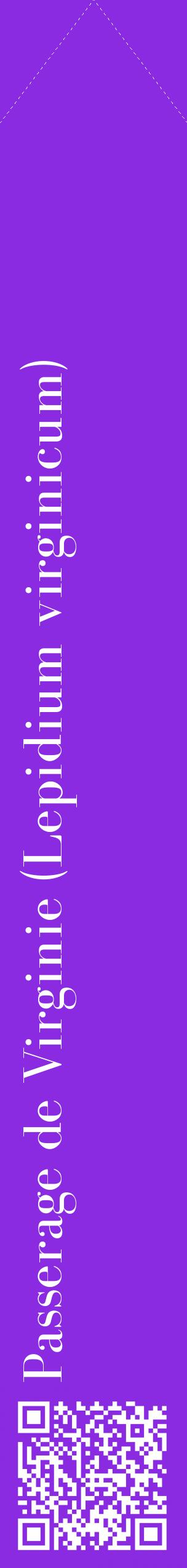 Étiquette de : Lepidium virginicum - format c - style blanche49_simplebod avec qrcode et comestibilité