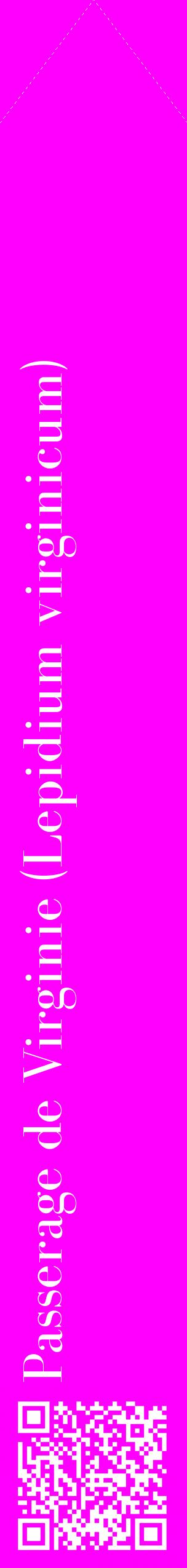 Étiquette de : Lepidium virginicum - format c - style blanche51_simplebod avec qrcode et comestibilité