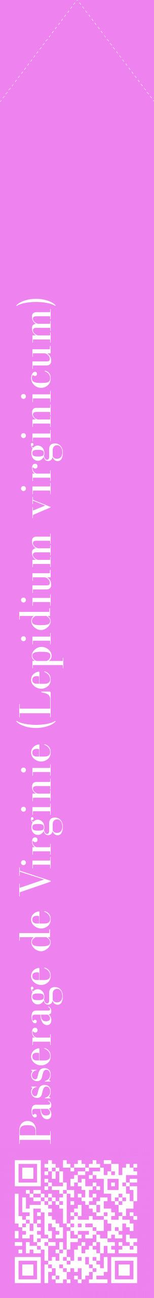Étiquette de : Lepidium virginicum - format c - style blanche53_simplebod avec qrcode et comestibilité