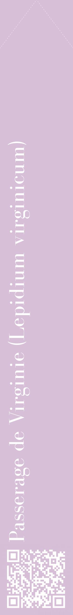 Étiquette de : Lepidium virginicum - format c - style blanche54_simplebod avec qrcode et comestibilité