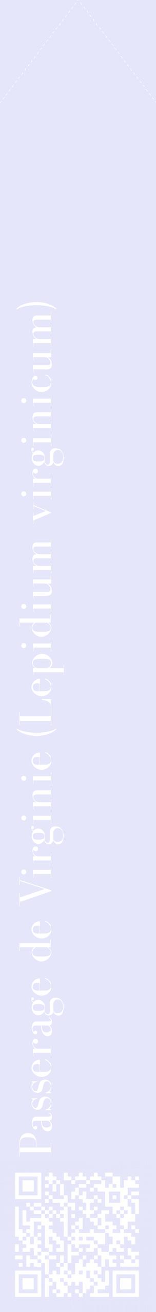 Étiquette de : Lepidium virginicum - format c - style blanche55_simplebod avec qrcode et comestibilité
