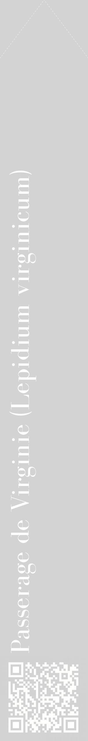 Étiquette de : Lepidium virginicum - format c - style blanche56_simplebod avec qrcode et comestibilité