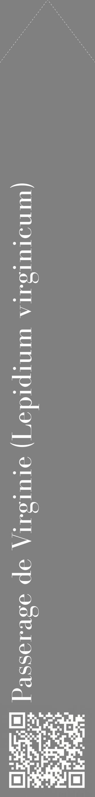Étiquette de : Lepidium virginicum - format c - style blanche57_simplebod avec qrcode et comestibilité