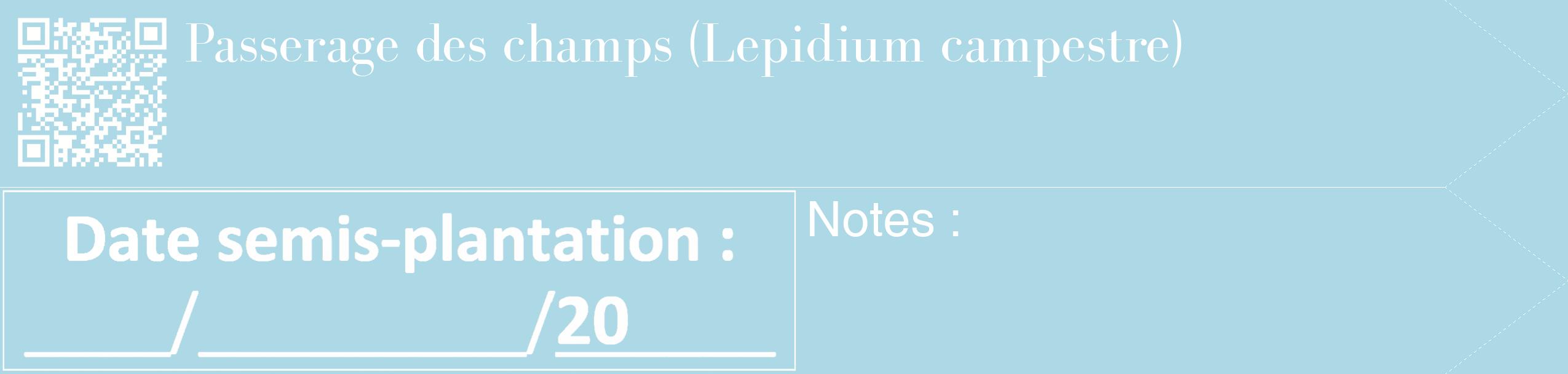 Étiquette de : Lepidium campestre - format c - style blanche0_simple_simplebod avec qrcode et comestibilité