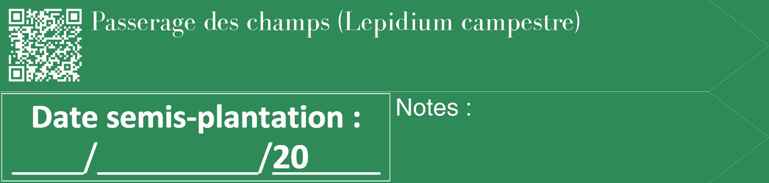 Étiquette de : Lepidium campestre - format c - style blanche11_simple_simplebod avec qrcode et comestibilité