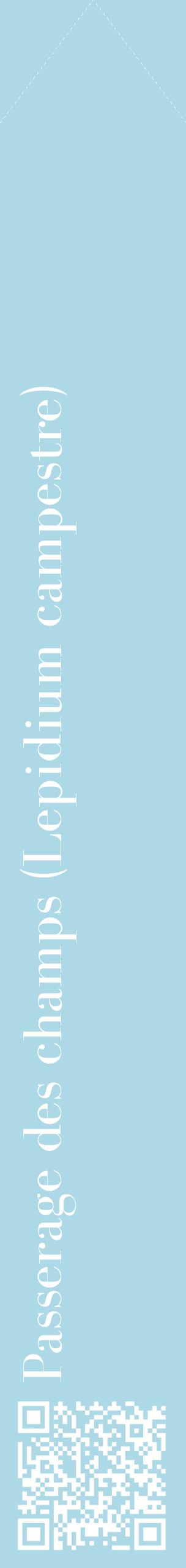 Étiquette de : Lepidium campestre - format c - style blanche0_simplebod avec qrcode et comestibilité