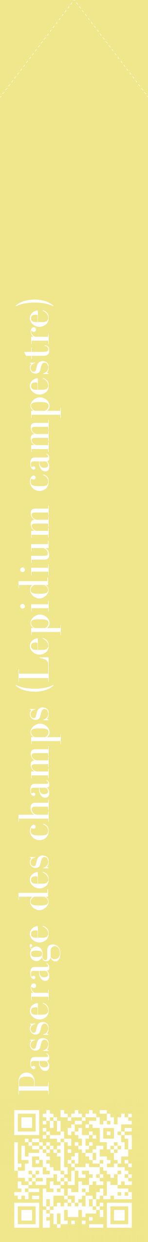 Étiquette de : Lepidium campestre - format c - style blanche20_simplebod avec qrcode et comestibilité