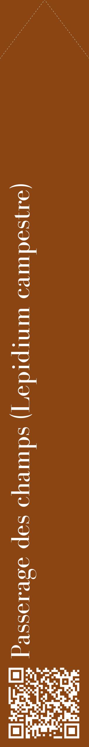 Étiquette de : Lepidium campestre - format c - style blanche30_simplebod avec qrcode et comestibilité