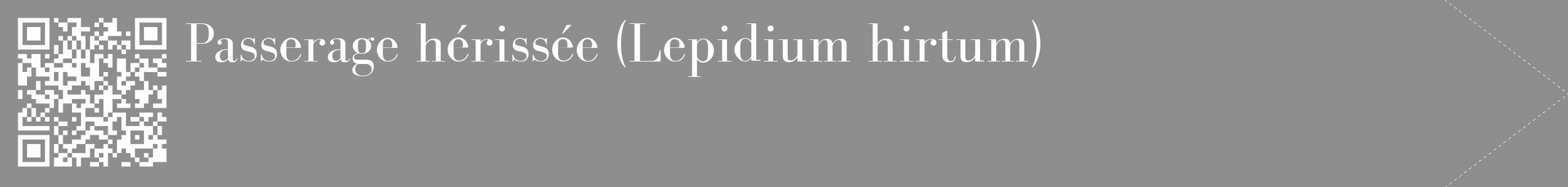 Étiquette de : Lepidium hirtum - format c - style blanche25_simple_simplebod avec qrcode et comestibilité