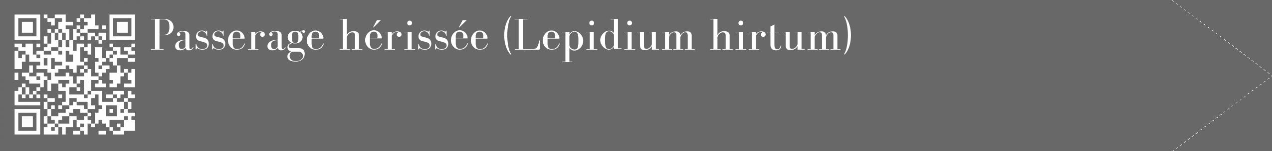 Étiquette de : Lepidium hirtum - format c - style blanche43_simple_simplebod avec qrcode et comestibilité