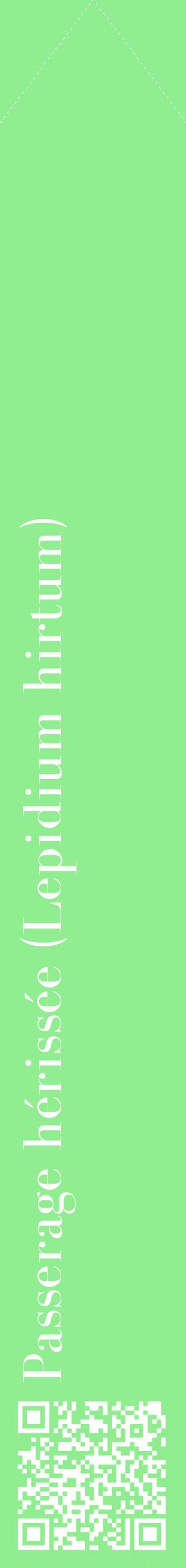 Étiquette de : Lepidium hirtum - format c - style blanche15_simplebod avec qrcode et comestibilité