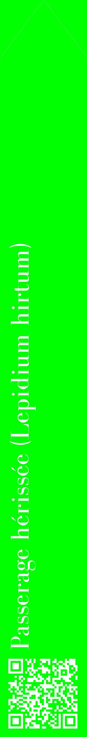 Étiquette de : Lepidium hirtum - format c - style blanche16_simplebod avec qrcode et comestibilité