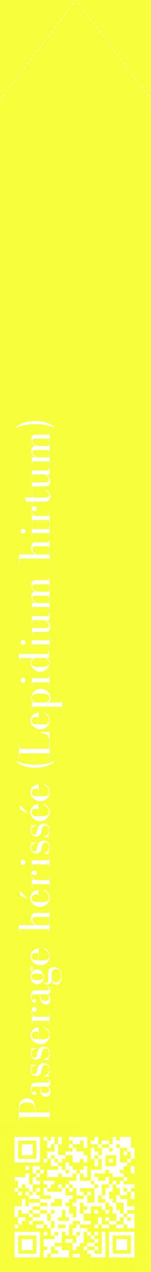 Étiquette de : Lepidium hirtum - format c - style blanche18_simplebod avec qrcode et comestibilité