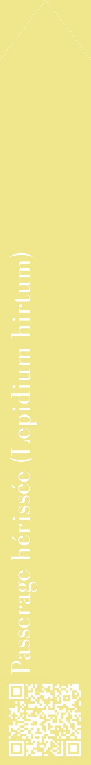 Étiquette de : Lepidium hirtum - format c - style blanche20_simplebod avec qrcode et comestibilité
