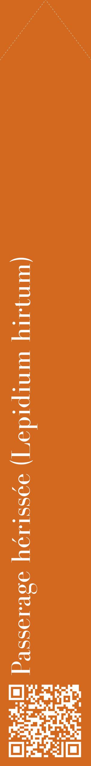 Étiquette de : Lepidium hirtum - format c - style blanche31_simplebod avec qrcode et comestibilité
