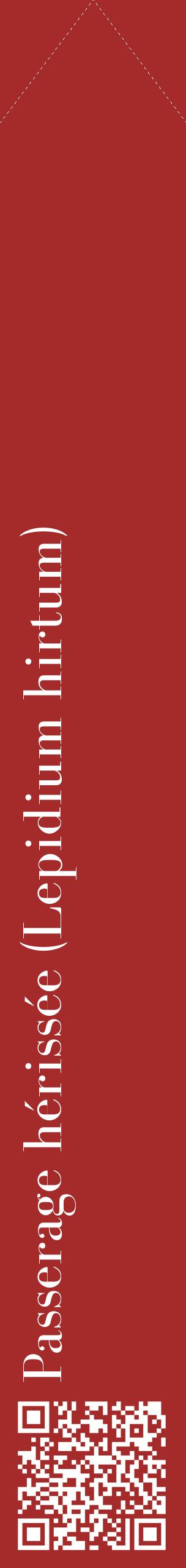 Étiquette de : Lepidium hirtum - format c - style blanche33_simplebod avec qrcode et comestibilité