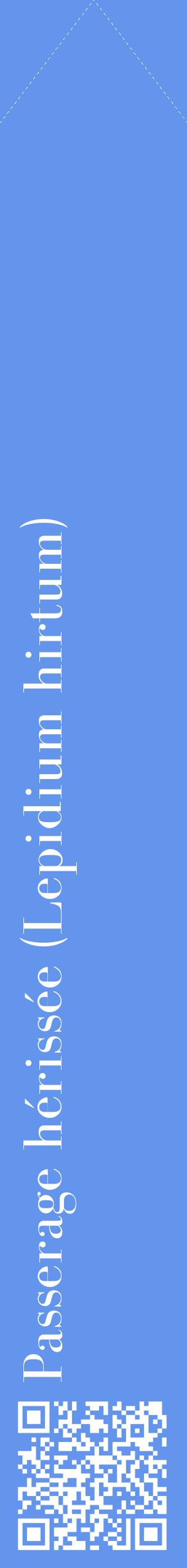 Étiquette de : Lepidium hirtum - format c - style blanche4_simplebod avec qrcode et comestibilité