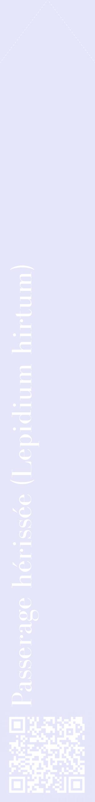Étiquette de : Lepidium hirtum - format c - style blanche55_simplebod avec qrcode et comestibilité