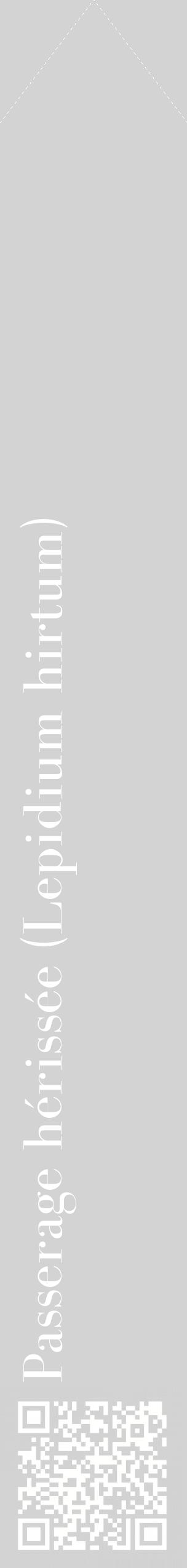 Étiquette de : Lepidium hirtum - format c - style blanche56_simplebod avec qrcode et comestibilité