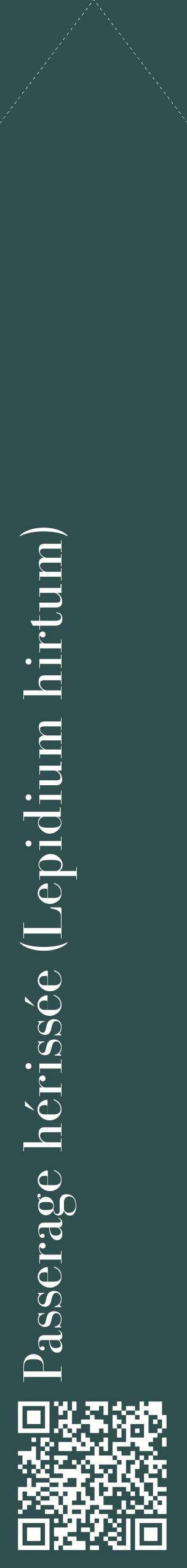 Étiquette de : Lepidium hirtum - format c - style blanche58_simplebod avec qrcode et comestibilité