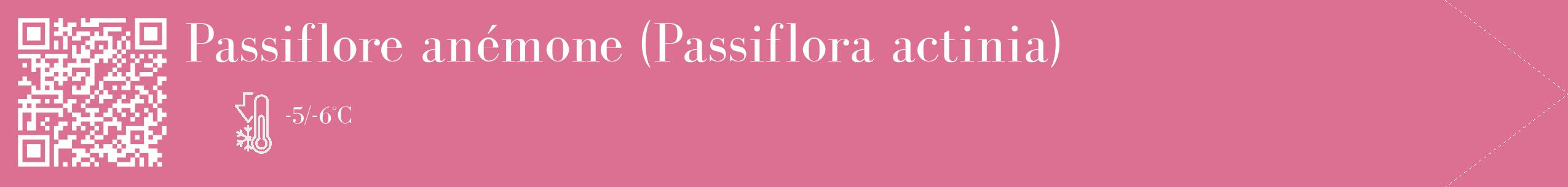 Étiquette de : Passiflora actinia - format c - style blanche44_simple_simplebod avec qrcode et comestibilité
