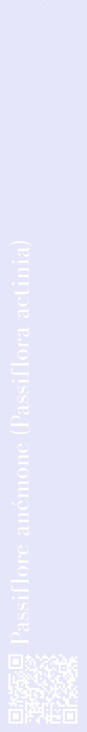 Étiquette de : Passiflora actinia - format c - style blanche55_simplebod avec qrcode et comestibilité