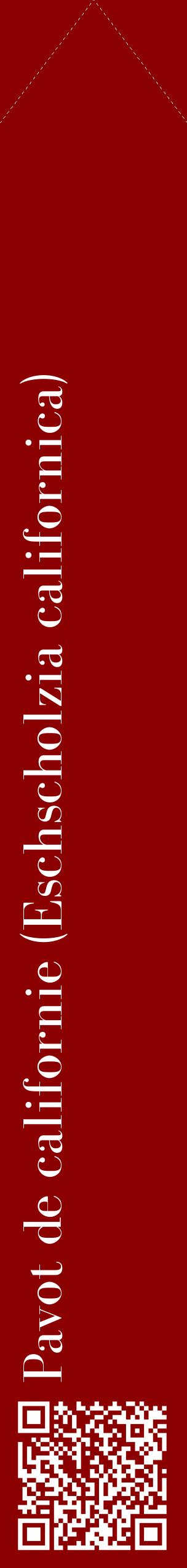 Étiquette de : Eschscholzia californica - format c - style blanche34_simplebod avec qrcode et comestibilité