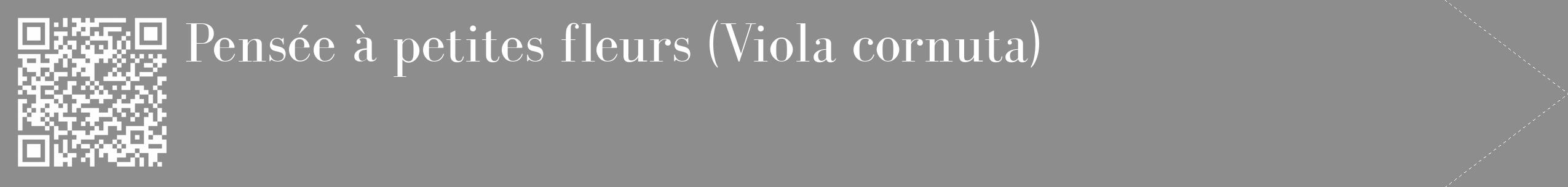 Étiquette de : Viola cornuta - format c - style blanche2_simple_simplebod avec qrcode et comestibilité