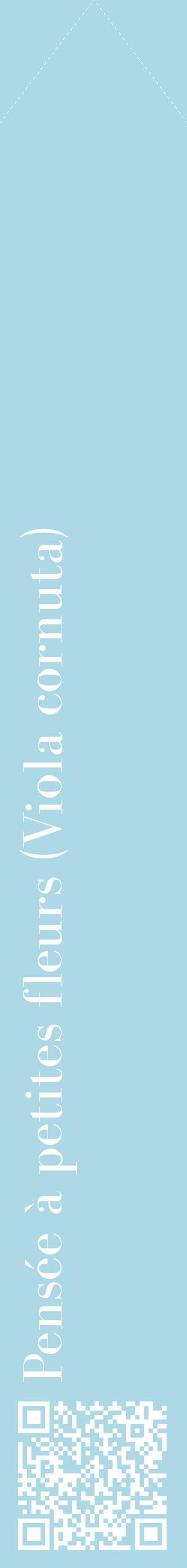 Étiquette de : Viola cornuta - format c - style blanche0_simplebod avec qrcode et comestibilité