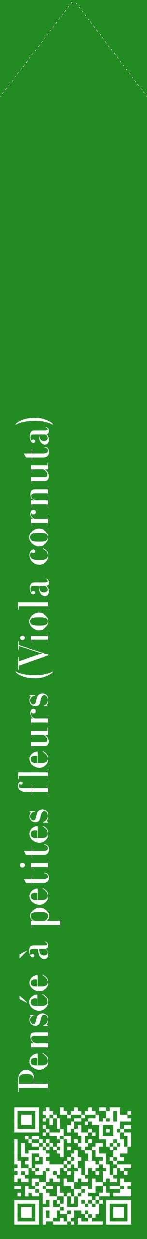 Étiquette de : Viola cornuta - format c - style blanche10_simplebod avec qrcode et comestibilité
