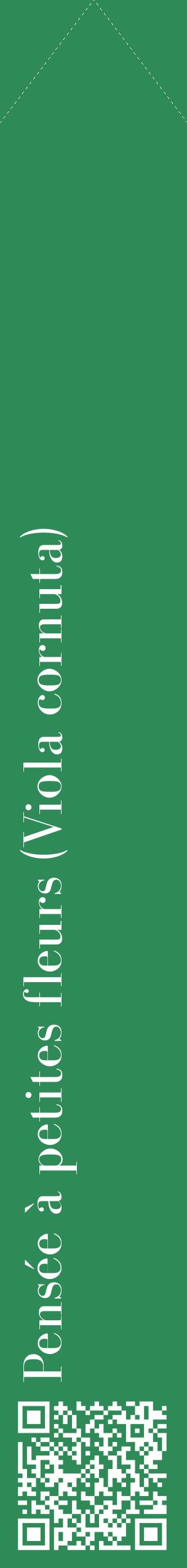 Étiquette de : Viola cornuta - format c - style blanche11_simplebod avec qrcode et comestibilité