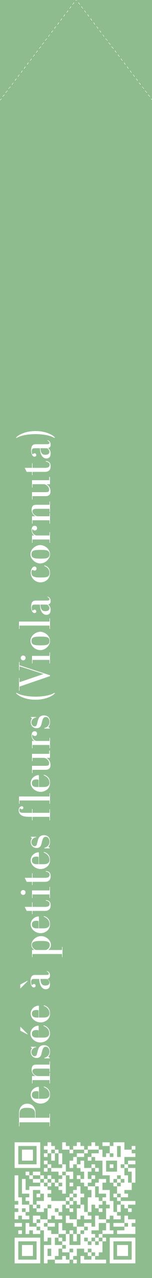 Étiquette de : Viola cornuta - format c - style blanche13_simplebod avec qrcode et comestibilité