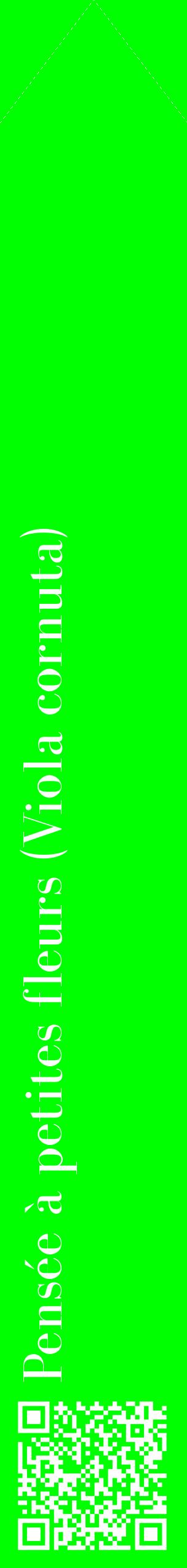 Étiquette de : Viola cornuta - format c - style blanche16_simplebod avec qrcode et comestibilité