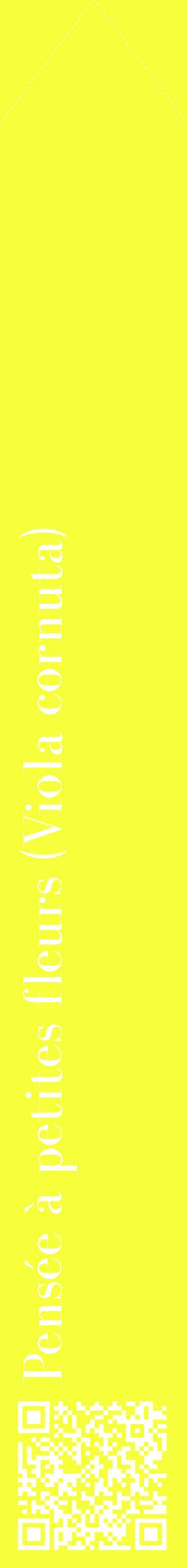 Étiquette de : Viola cornuta - format c - style blanche18_simplebod avec qrcode et comestibilité
