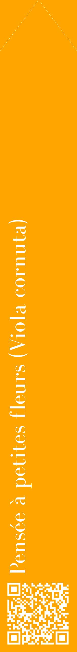 Étiquette de : Viola cornuta - format c - style blanche22_simplebod avec qrcode et comestibilité