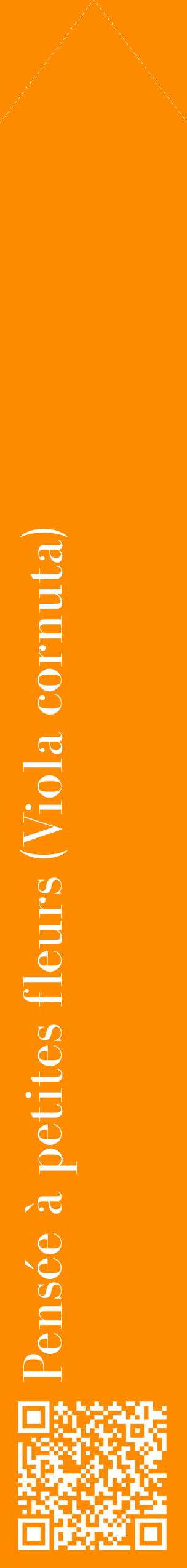 Étiquette de : Viola cornuta - format c - style blanche23_simplebod avec qrcode et comestibilité