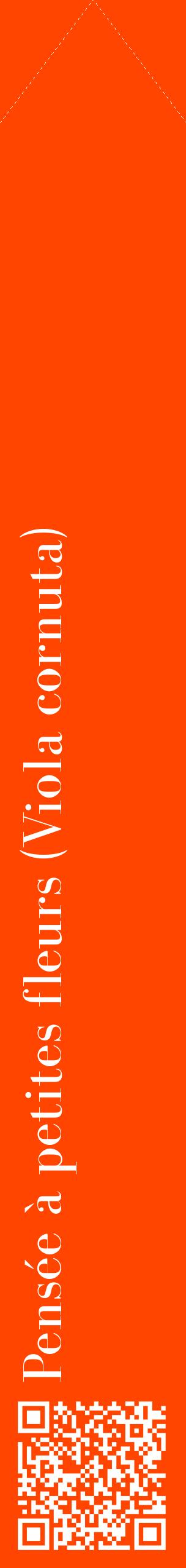 Étiquette de : Viola cornuta - format c - style blanche26_simplebod avec qrcode et comestibilité