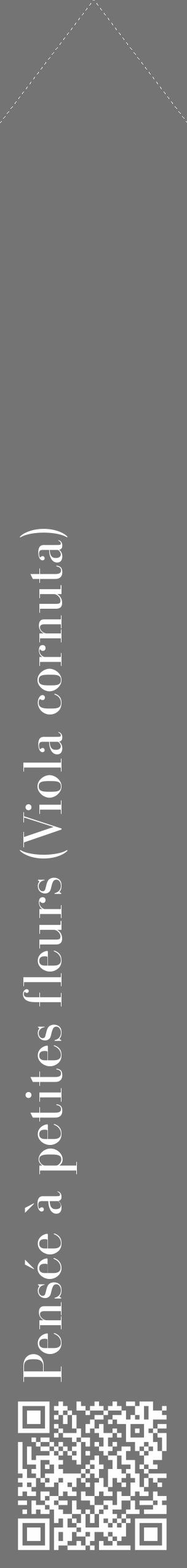 Étiquette de : Viola cornuta - format c - style blanche26_simple_simplebod avec qrcode et comestibilité - position verticale