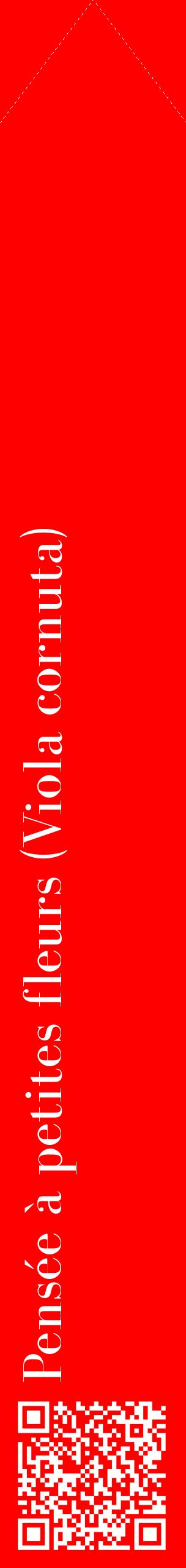 Étiquette de : Viola cornuta - format c - style blanche27_simplebod avec qrcode et comestibilité