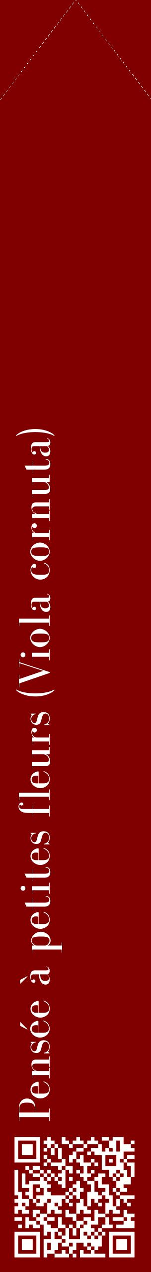 Étiquette de : Viola cornuta - format c - style blanche29_simplebod avec qrcode et comestibilité