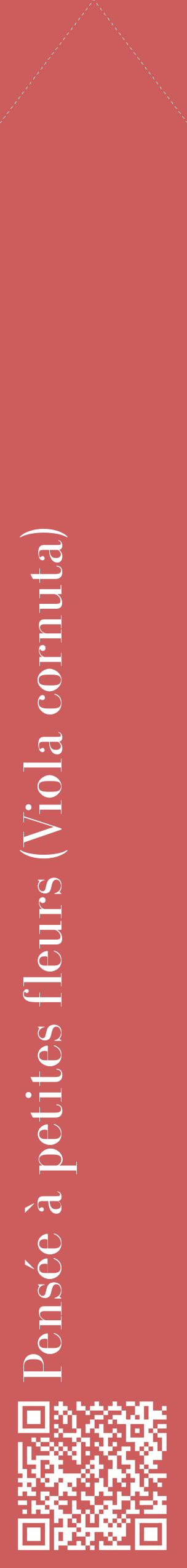 Étiquette de : Viola cornuta - format c - style blanche35_simplebod avec qrcode et comestibilité