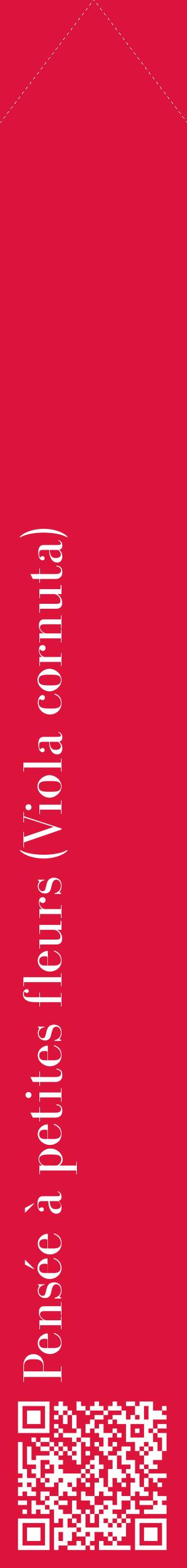 Étiquette de : Viola cornuta - format c - style blanche36_simplebod avec qrcode et comestibilité
