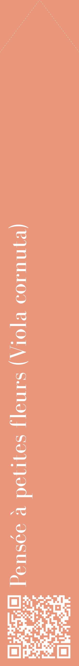 Étiquette de : Viola cornuta - format c - style blanche37_simplebod avec qrcode et comestibilité