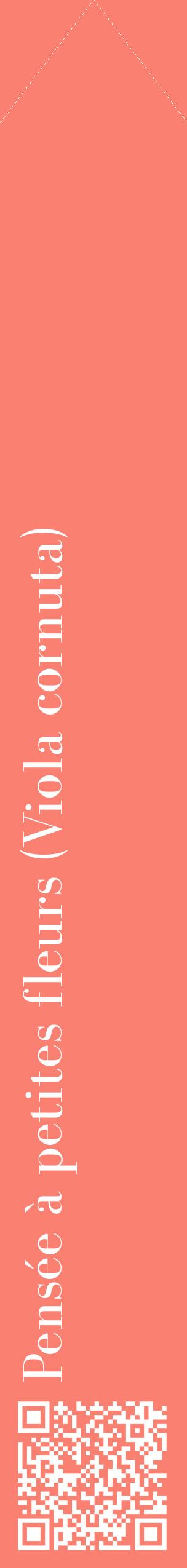 Étiquette de : Viola cornuta - format c - style blanche38_simplebod avec qrcode et comestibilité