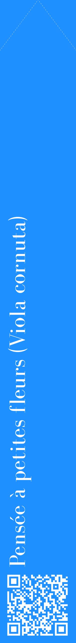 Étiquette de : Viola cornuta - format c - style blanche3_simplebod avec qrcode et comestibilité
