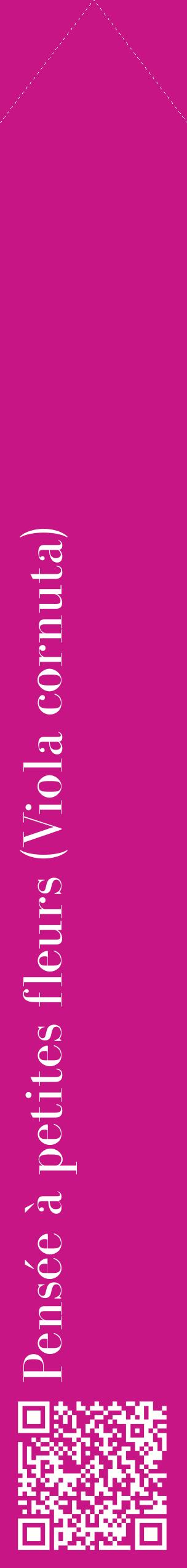 Étiquette de : Viola cornuta - format c - style blanche45_simplebod avec qrcode et comestibilité