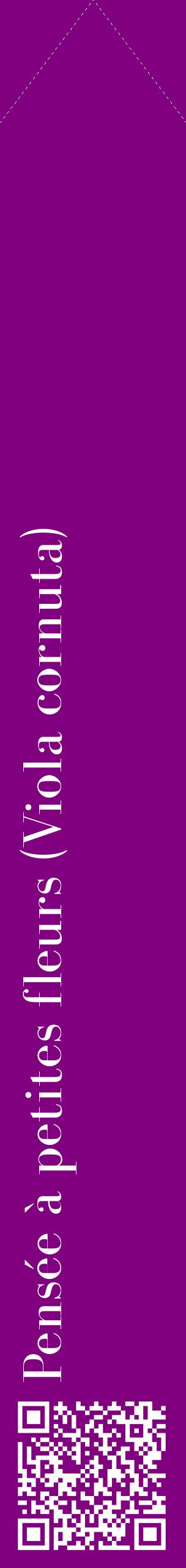 Étiquette de : Viola cornuta - format c - style blanche46_simplebod avec qrcode et comestibilité