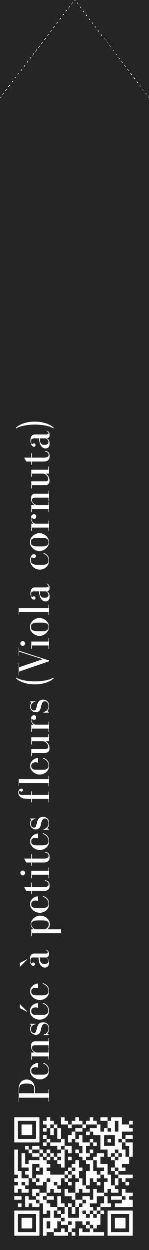 Étiquette de : Viola cornuta - format c - style blanche47_simple_simplebod avec qrcode et comestibilité - position verticale
