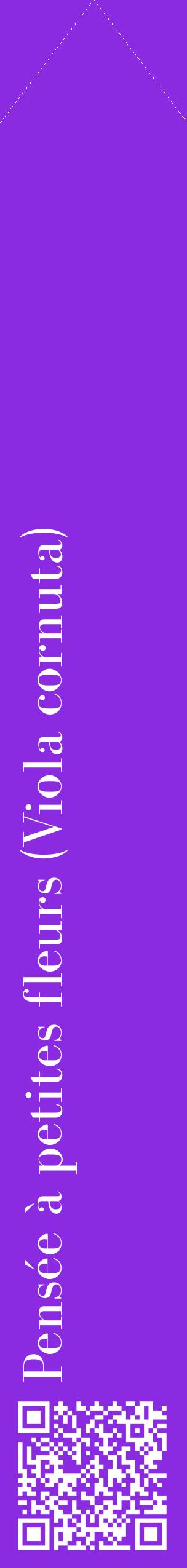 Étiquette de : Viola cornuta - format c - style blanche49_simplebod avec qrcode et comestibilité