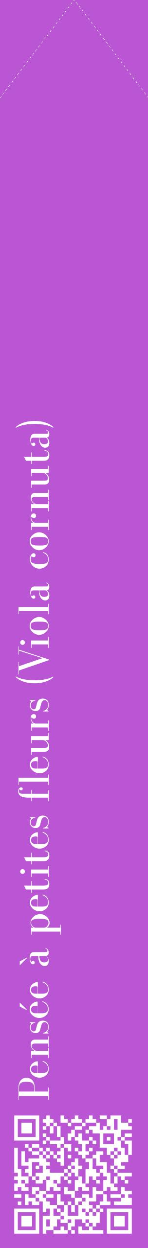 Étiquette de : Viola cornuta - format c - style blanche50_simplebod avec qrcode et comestibilité
